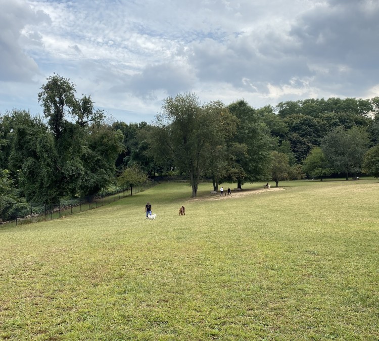 Paws Place Dog Park (New&nbspRochelle,&nbspNY)